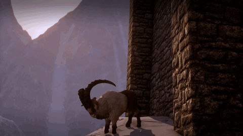 tumblr_nh3sblfb8X1s6fvqjo1_500_zpsr0dfic