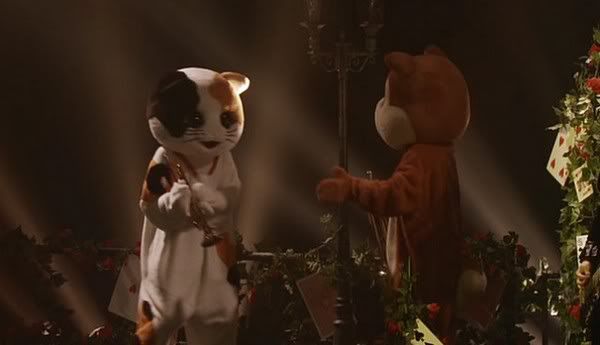 kitties