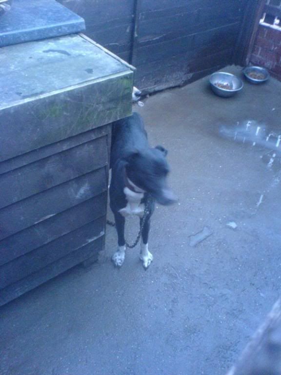 mini-DSC00006.jpg