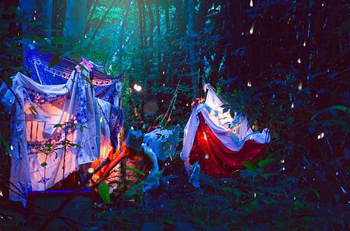 camp-fairy-fairytale-fantasy-forest-Favimcom-136266.jpg