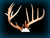 be8d3f4a48654b4b7c5c704be_small.png?23