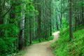 6d4c1364f62ecebba989236e2_item.jpg?31