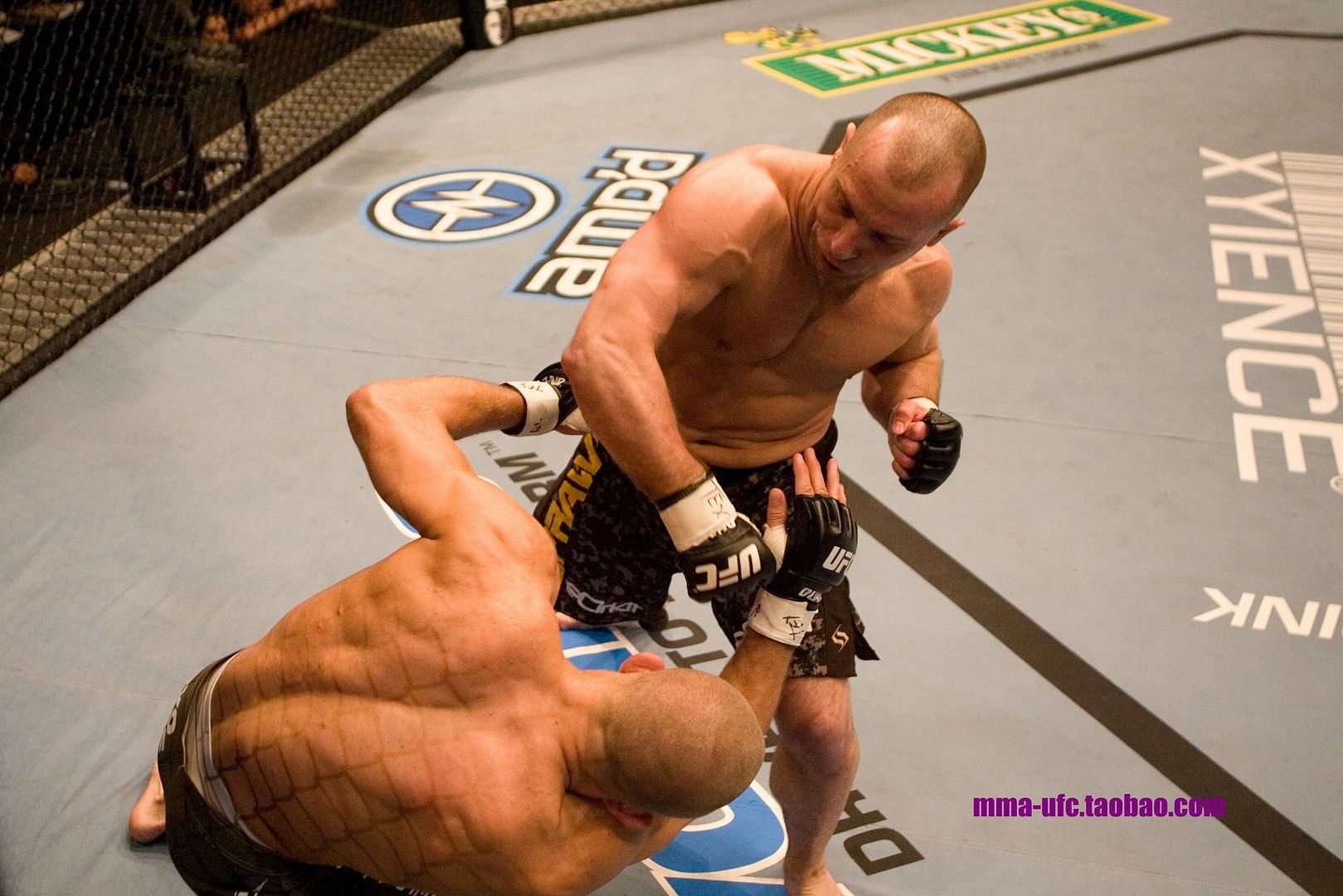 ufc69_9_serra_vs_st-pierre_006.jpg