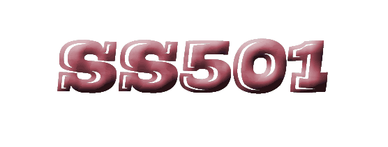 SS501.gif