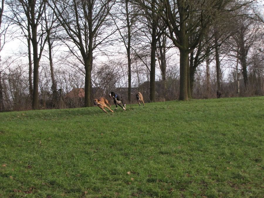 Fotografie