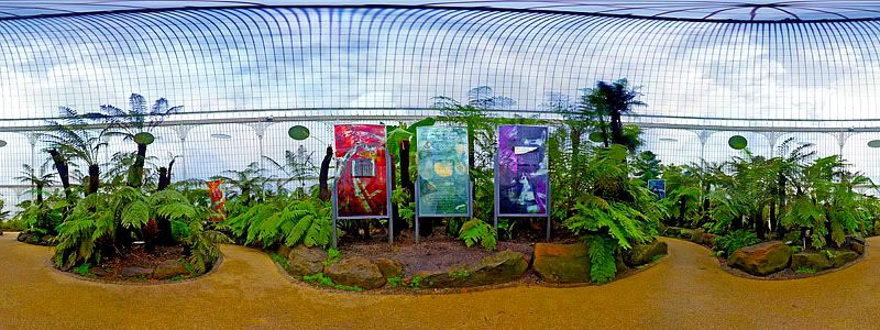 Kibble Palace Glasgow