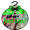 ornament4twin.png