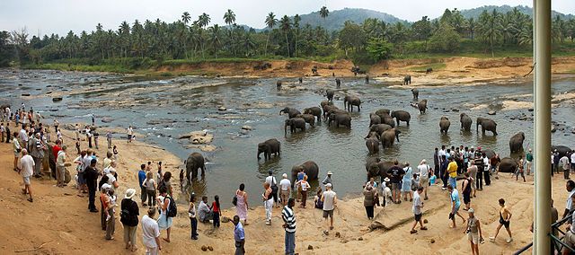 Things Tourists do For Fun in Sri Lanka