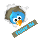 Twitter Icon Pictures, Images and Photos