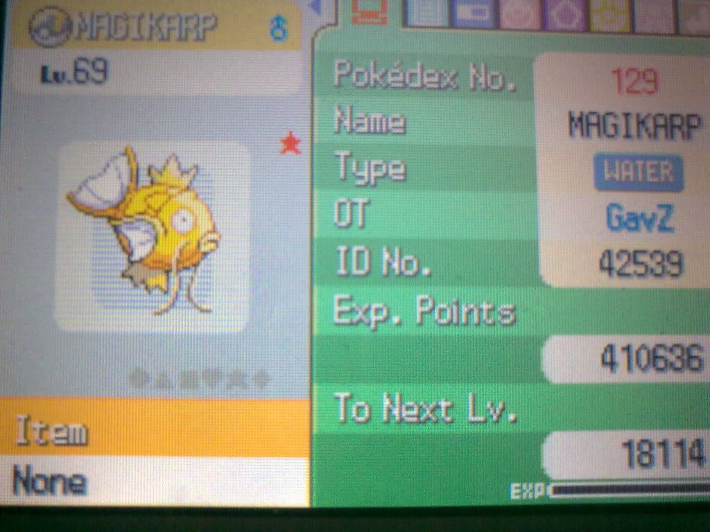 [PokeCommunity.com] Biggest Magikarp Caught? [Plat. Resort Area]